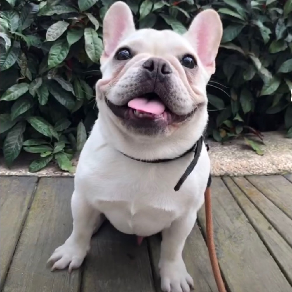 Meet your Posher, Sandy